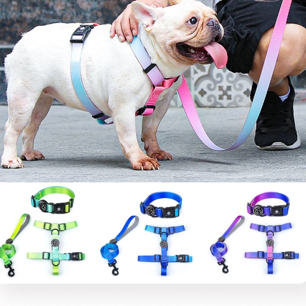 NEW Grandiooze Everking Frenchie Harness & Leash Set - Picture 2 of 11
